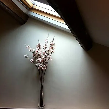 Hotel Priory 3*